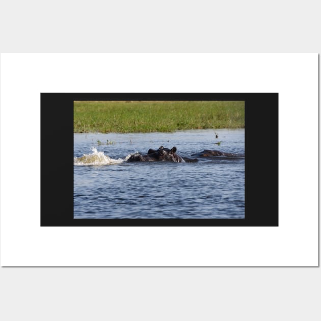 Hippopotamus in the Okavango Delta in Botswana Wall Art by Steves-Pics